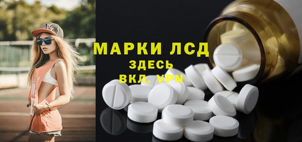 PSILOCYBIN Алзамай
