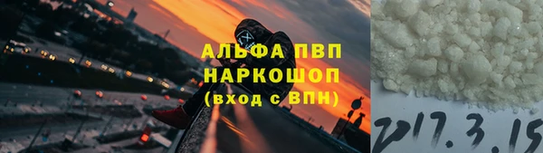 PSILOCYBIN Алзамай