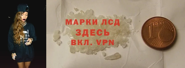 хмурый Алексин