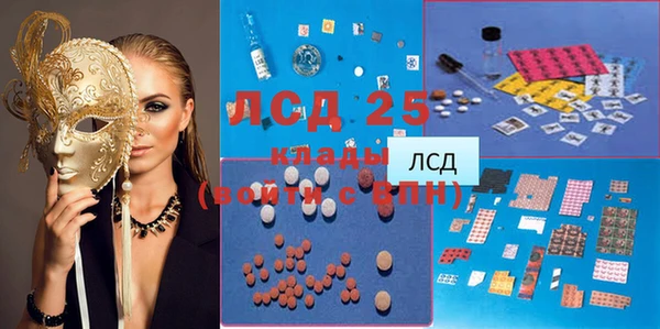 PSILOCYBIN Алзамай