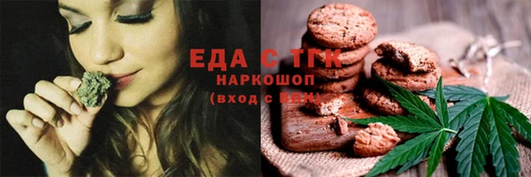 хмурый Алексин